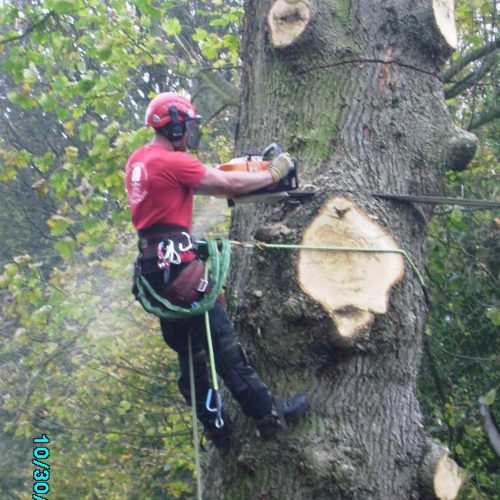 Arboricultural Contracting